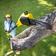 Best Lawn Mowing  in Poplar Plains, CT